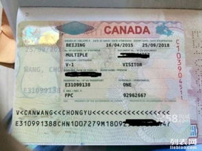 專業代辦美國、加拿大、澳大利亞、新西蘭等國簽證服務